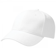 BC065 Pro-style heavy brushed cotton cap