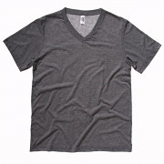 CV008 Triblend V-Neck Tee