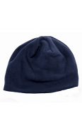 RG291 Thinsulate Fleece Hat