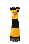 R146X The Supporters Scarf