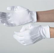Cotton glove elasticated cuff (DW35A)