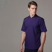 Mandarin collar fitted shirt short sleeved