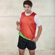 Sports reversible bib