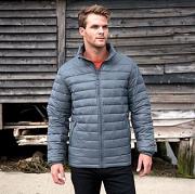 Ice bird padded jacket