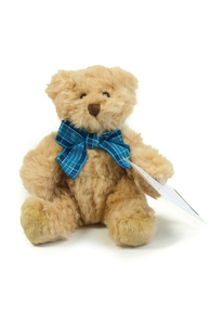 Bertie bear with concealed hand clip