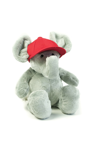 MM091 Bear Baseball Cap