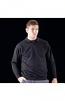 Coloursure™ polo plaquet sweatshirt