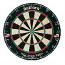 Eclipse pro dartboard