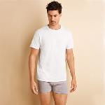 Gildan platinum men's underwear crew neck (4 units per pack)