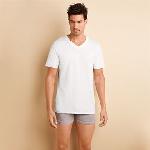 Gildan platinum men's underwear v-neck (4 units per pack)